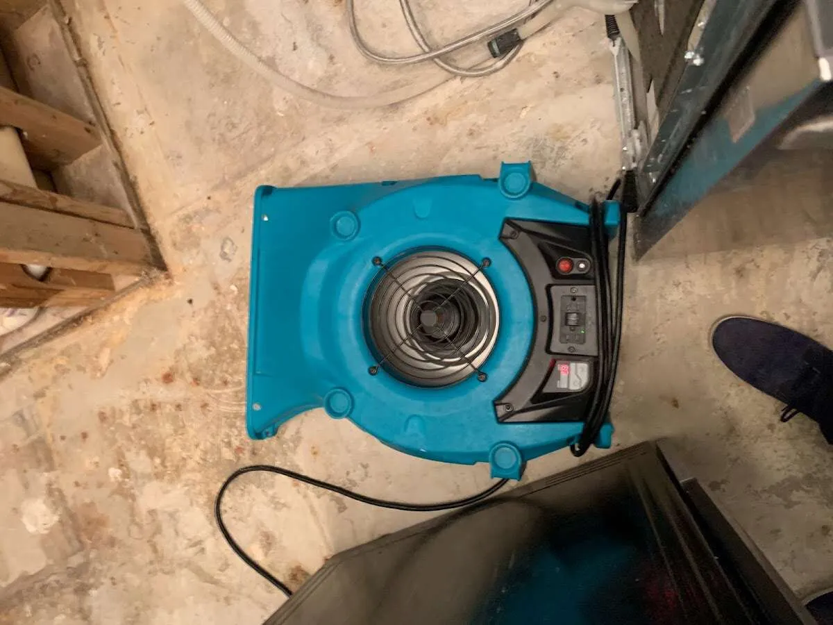 Air mover drying equipment for Mold Remediation & Removal in Grand Ledge