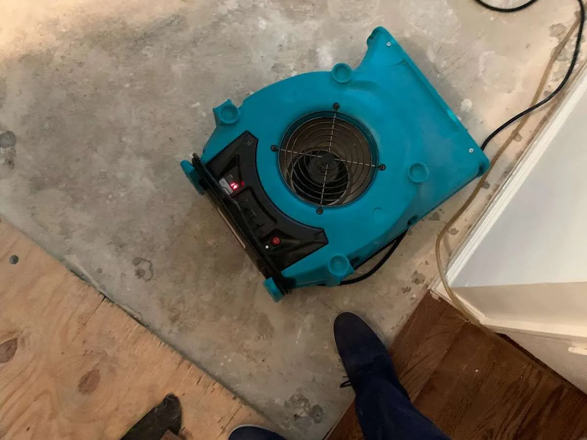 Air mover drying subfloor during Leak Detection & Repair in Grand Ledge